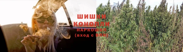 СК Аркадак