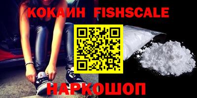 СК Кингисепп