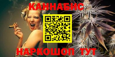 СК Кингисепп