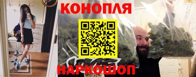 гашик Кимры
