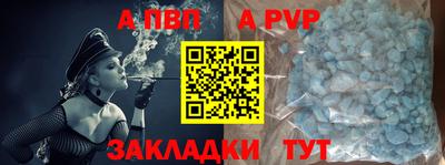 СК Кингисепп