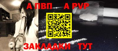 СК Кингисепп