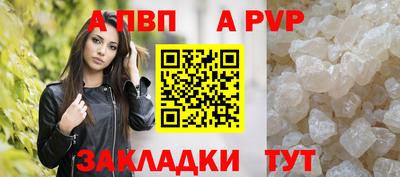 СК Кингисепп