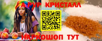 СК Кингисепп