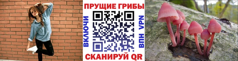 Галлюциногенные грибы ЛСД  как найти наркотики  Качканар 