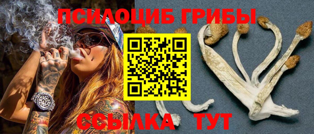 NBOMe  Гашиш  Гашиш  МАРИХУАНА  Качканар  Мефедрон кристаллы  КОКАИН  Вход с VPN 