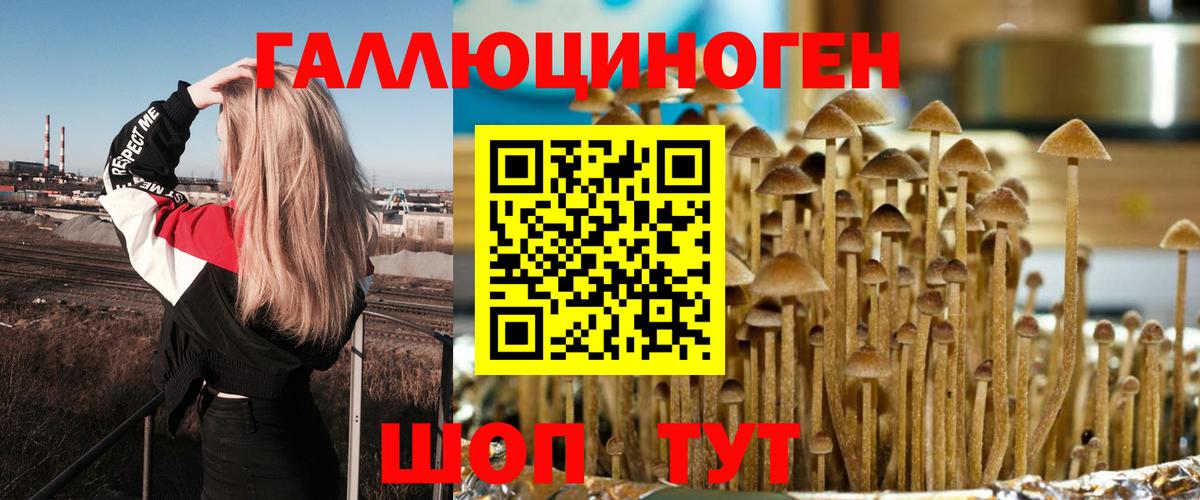 Псилоцибиновые грибы Cubensis  Вход с VPN  Качканар  как найти наркотики  Псилоцибиновые грибы Cubensis 